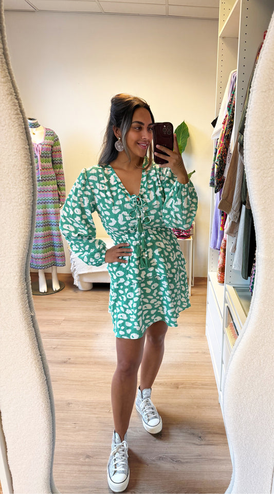 Florine ruffle dress mint & white