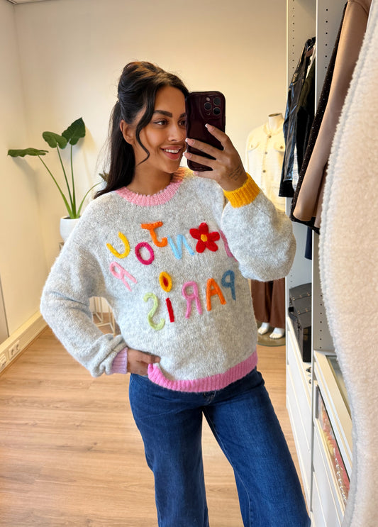 Trui bonjour paris lightgrey & pink